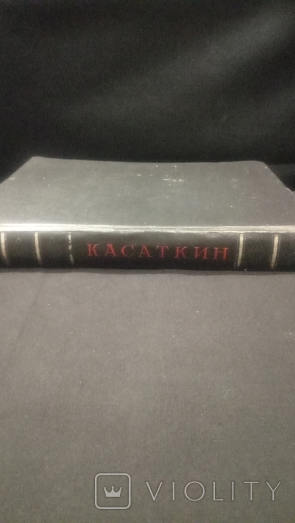 Big Book.Kasatkin N.A.1955., photo number 11