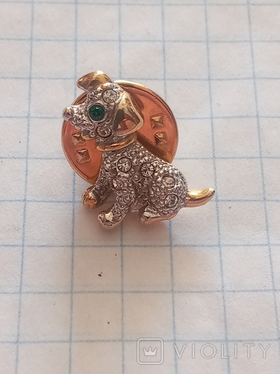 The dog's brooch is small., photo number 2