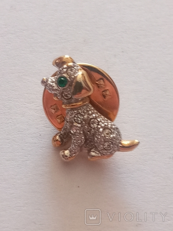 The dog's brooch is small., photo number 3