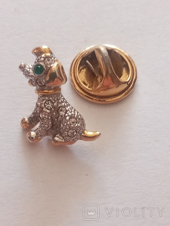 The dog's brooch is small., photo number 7