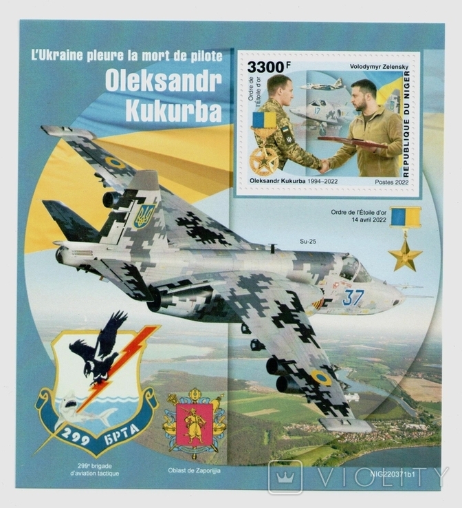 2022 Niger brand Zelensky flyer Kukurba plane Plane Sukhoi SU-25 aviation Zelensky