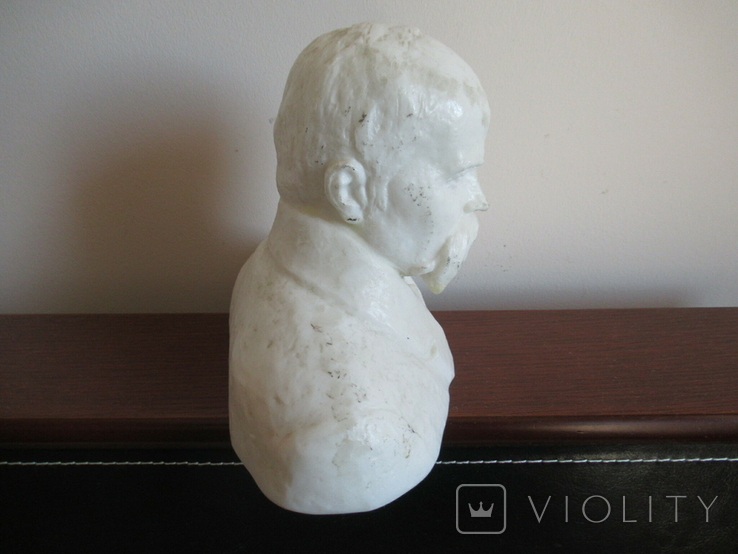 Bust of Taras Shevchenko Plastic, photo number 8