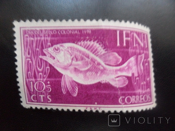 Fauna of the sea. Spanish Ifni. Fish