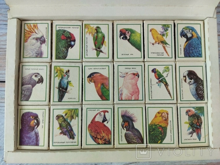 Souvenir set of matches, USSR, parrots, photo number 4
