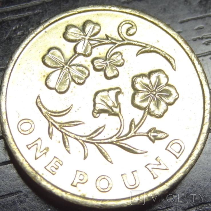 1 pound 2014 United Kingdom Flora of Northern Ireland