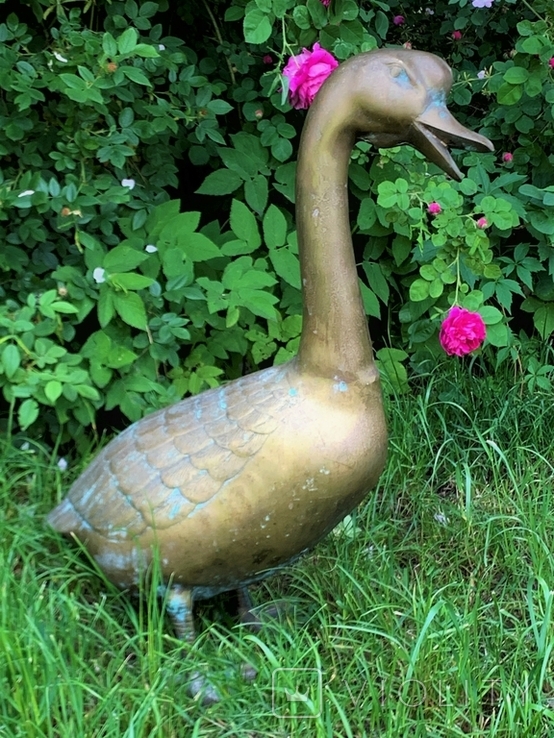 Life-size sculpture of a Goose, 68 cm, bronze, Germany, photo number 3