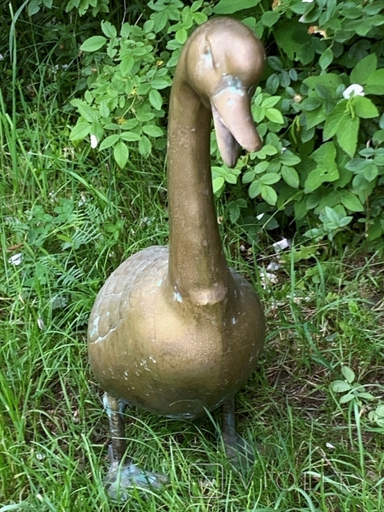 Life-size sculpture of a Goose, 68 cm, bronze, Germany, photo number 4