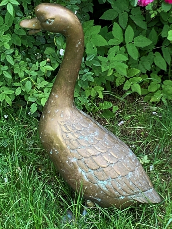 Life-size sculpture of a Goose, 68 cm, bronze, Germany, photo number 5