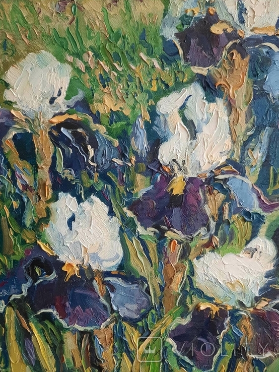 Painting Taras Dudka ''Irises'' 30/40 canvas/oil on canvas 2011, photo number 4