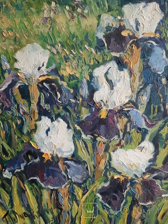 Painting Taras Dudka ''Irises'' 30/40 canvas/oil on canvas 2011, photo number 6