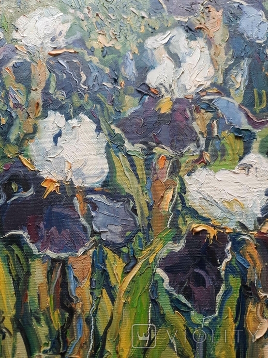 Painting Taras Dudka ''Irises'' 30/40 canvas/oil on canvas 2011, photo number 12