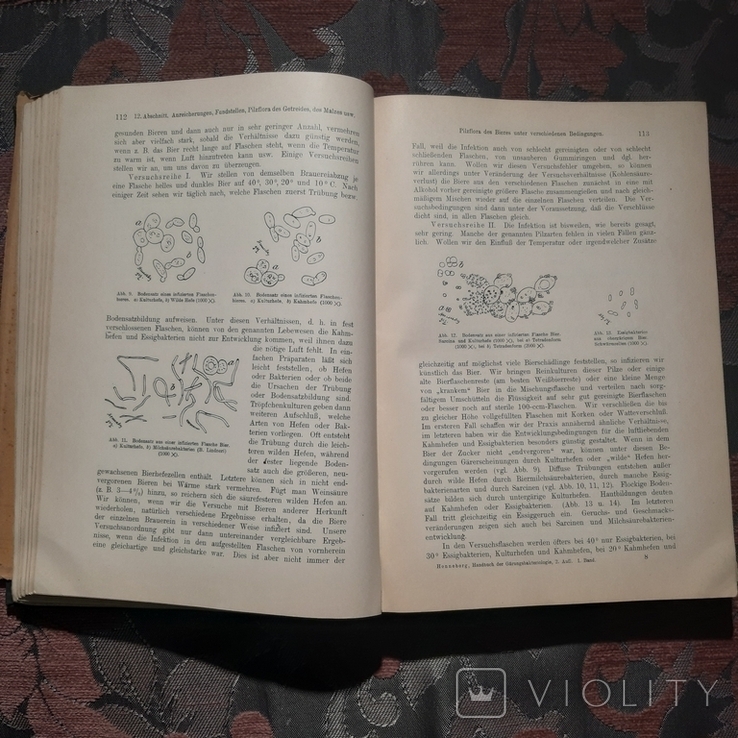 Книга Руководство по бактериологии на немецком языке1926 г., фото №7