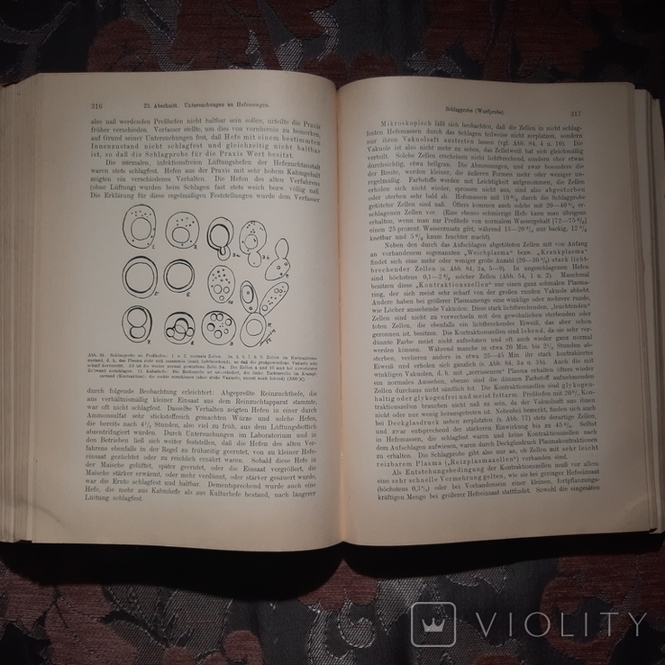 Книга Руководство по бактериологии на немецком языке1926 г., фото №9