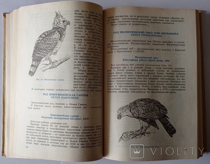 Рідкісні і зникаючі тварини. Птахів. 446 с. (російською мовою)., фото №2