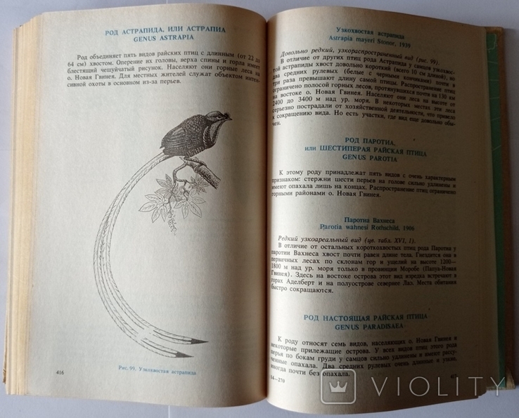 Рідкісні і зникаючі тварини. Птахів. 446 с. (російською мовою)., фото №7