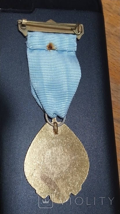 Масонская медаль. 1979 год (П1), фото №4