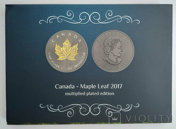 Серебряная (+позолота) монета 5 долларов 2017г, (31,10 г, 0.9999); Канада, фото №8