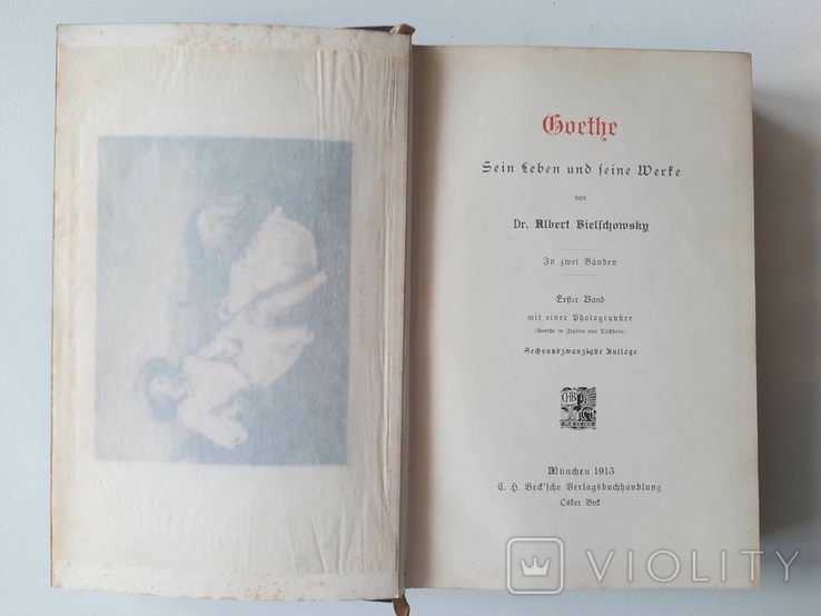 Goethe.Sein Leben und seine Werke / Гете.Його життя і його твори.1913 Альберт Бєльшовський, фото №4