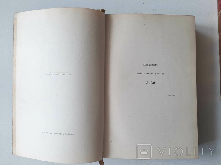 Goethe.Sein Leben und seine Werke / Гете.Його життя і його твори.1913 Альберт Бєльшовський, фото №6