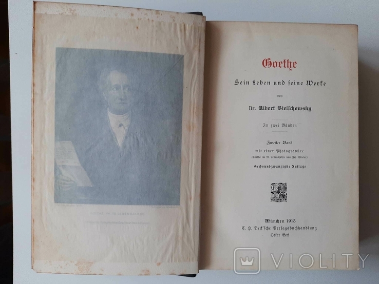 Goethe.Sein Leben und seine Werke / Гете.Його життя і його твори.1913 Альберт Бєльшовський, фото №8