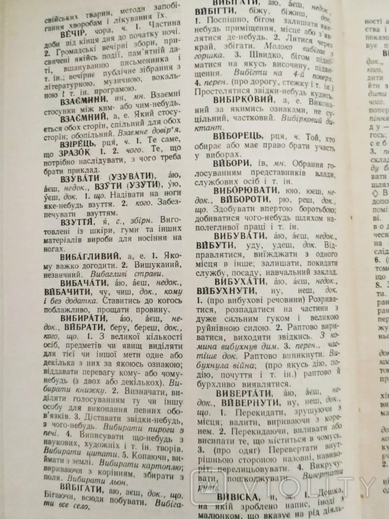 Короткий тлумачний словник української мови (1988), фото №7