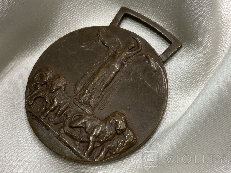 Міжсоюзницька медаль за перемогу Перша світова війна Італія, фото №5