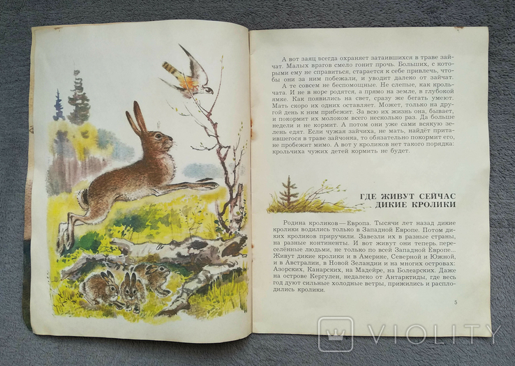 Чем кролик на зайца не похож. И. Акимушкин. Худ. С. куприянов. 1981 год., фото №4