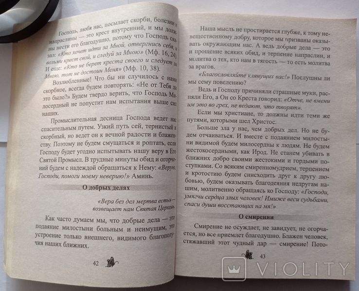 Схема-ігумен Сава. Запали свічку в душі. Тираж: 500 примірників., фото №10