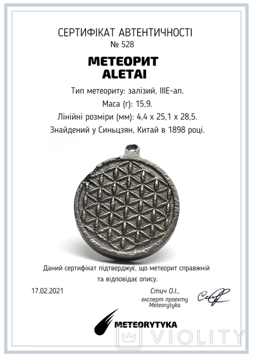 Двохсторонній круглий кулон з геометричним орнаментом "Квітка життя" із метеорита Aletai, фото №3