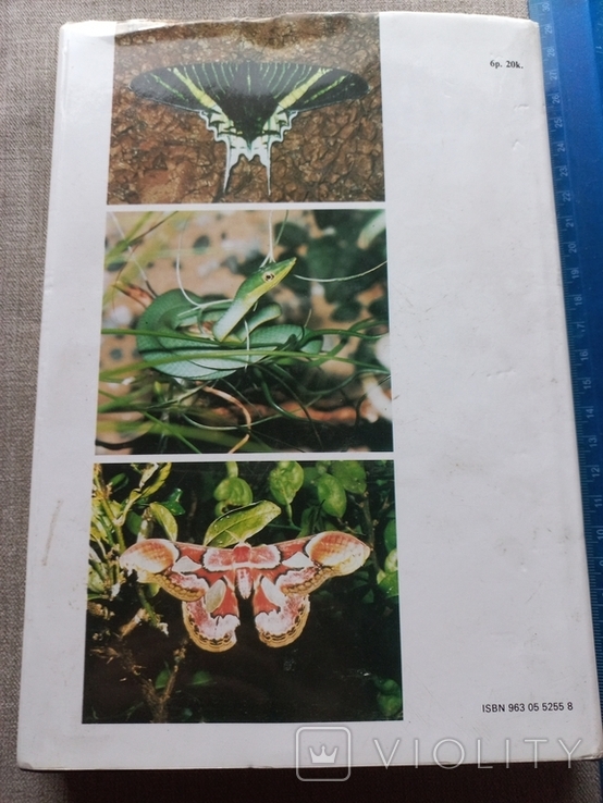 Янош Регёш Зелёный ад - исчезающий рай Репортаж из тропического леса, фото №5
