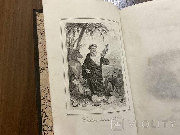 Франція 1869 Книга про природу, фото №6