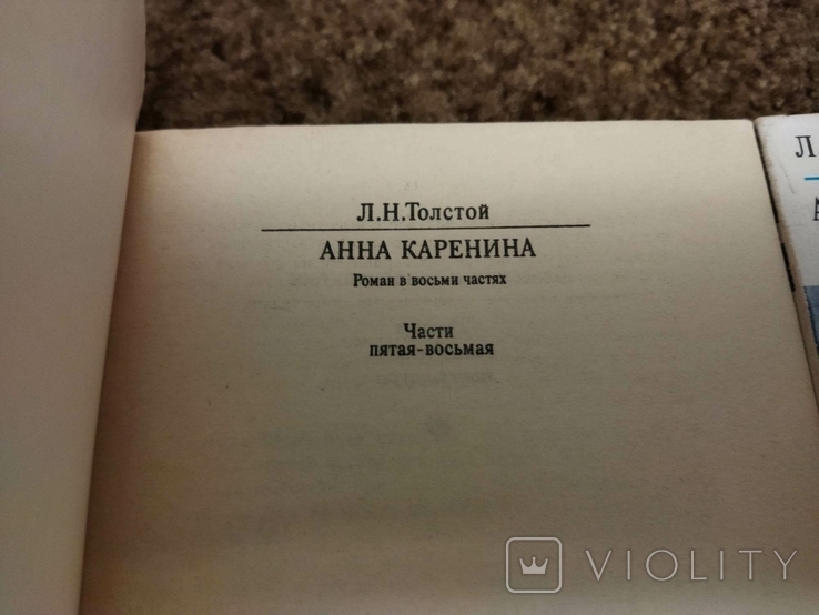 Лев Толстой, Анна Кареніна, фото №3