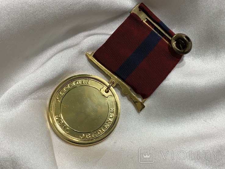 Медаль корпусу морської піхоти США, фото №6