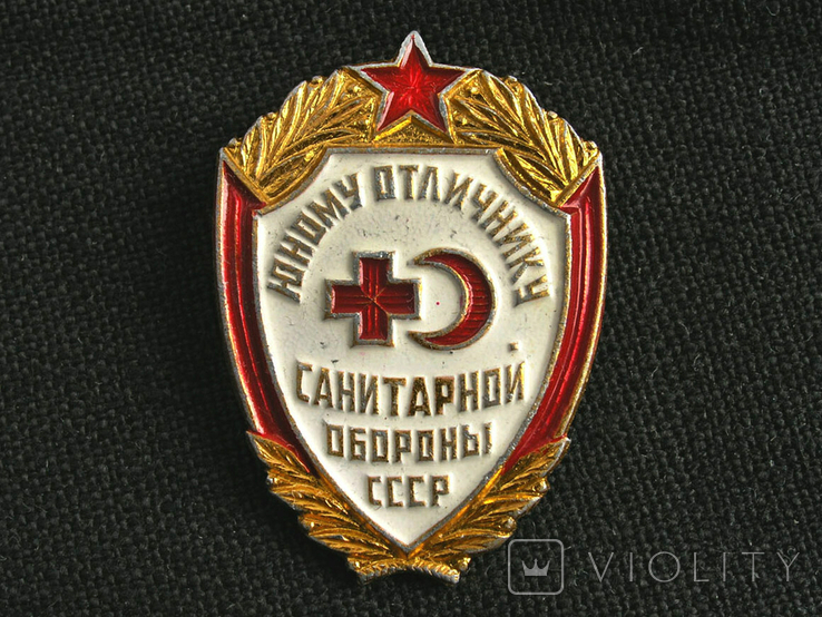 Знак Юному отличнику санитарной обороны СССР, фото №2