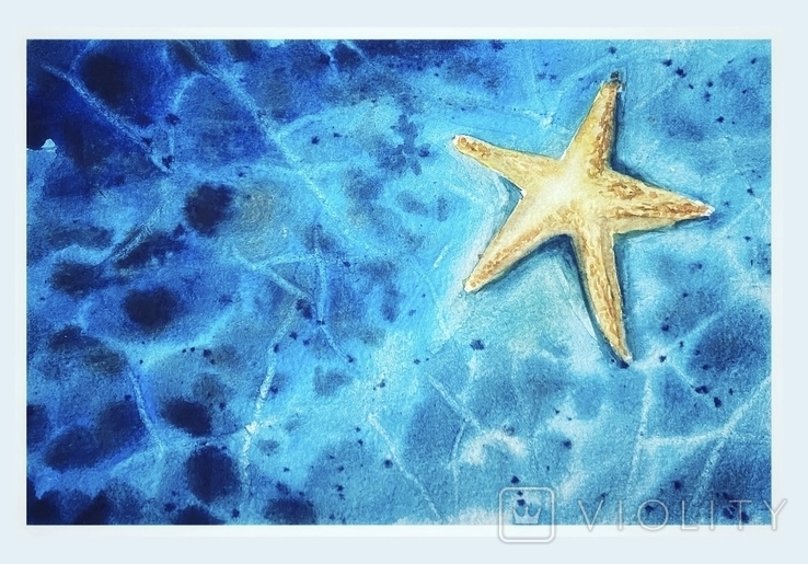 Морська зірка, фото №2