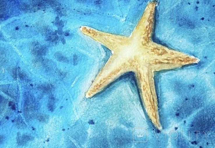 Морська зірка, фото №4