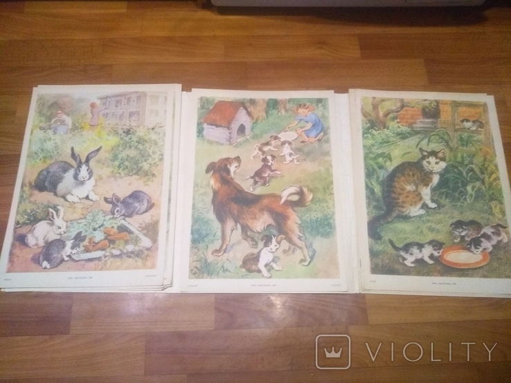 16 плакатів "Свійські тварини", фото №4