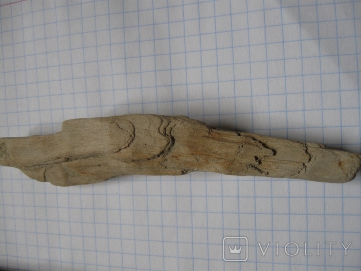 Фрагменти скам'янілого дерева ( 5 шт. ), фото №7