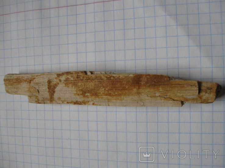 Фрагменти скам'янілого дерева ( 5 шт. ), фото №8