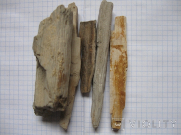 Фрагменти скам'янілого дерева ( 5 шт. ), фото №13