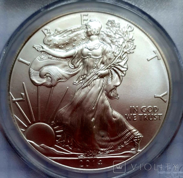 1 доллар США "Шагающая Свобода-Серебрянный орел", 2014 г, серебро слаб PCGS MS-69, фото №3