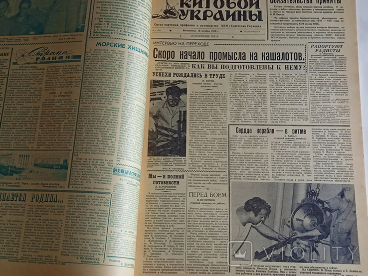 Подшивка газет Китобой Украины 1970-1971, фото №10