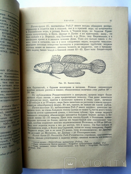 Life and catching freshwater fish. L. P. Sabaneev, Kiev, 1960., photo number 10