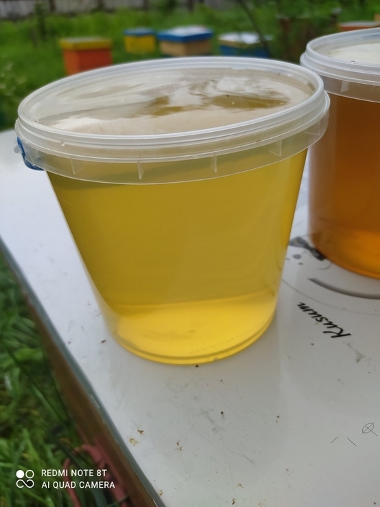 10 литров мёда из акации, фото №4