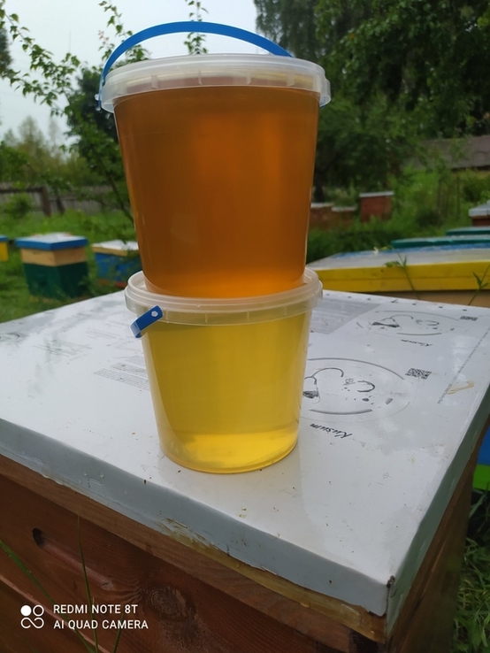 Мёд из разнотравья 10 литров, фото №3