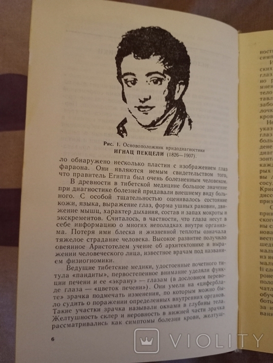 Клиническая иридология. Е.С. Вельховер, фото №4