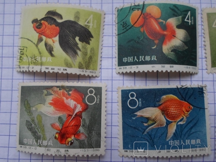 1960 г. Китай. Золотые рыбки, фото №3