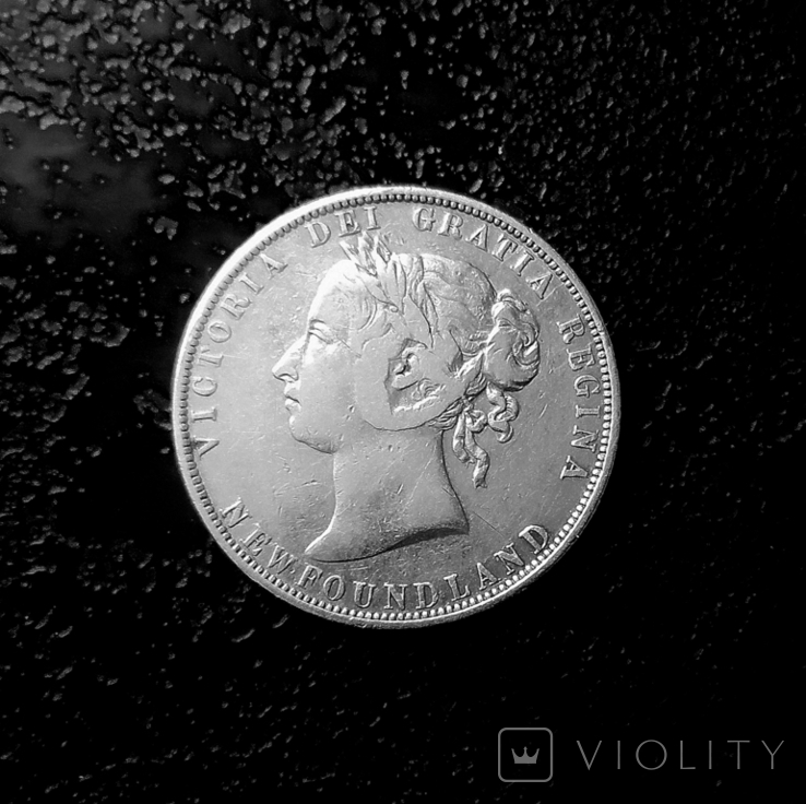 50 центов Ньюфаундленд 1900 серебро, фото №2