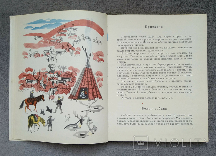 Рассказы для детей. Г. Снегирёв. Худ. М. Митурич. 1970 год., фото №6