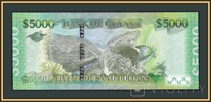 Гайана 5000 долларов 2018 P-40 (40b), фото №3